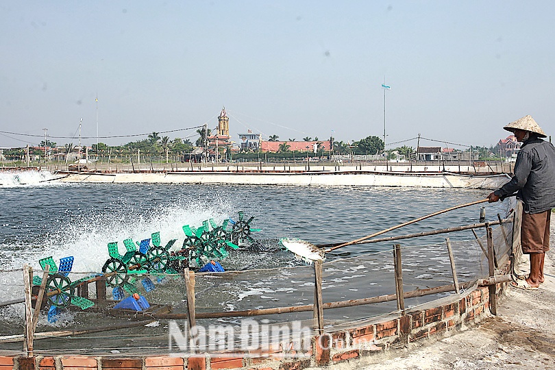 Hỗ trợ vốn cho thủy sản ở Hải Hậu, chính sách thủy sản