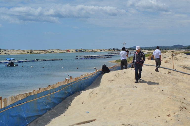 Cần biện pháp mạnh xử lý nuôi tôm trái phép ở Phú Yên