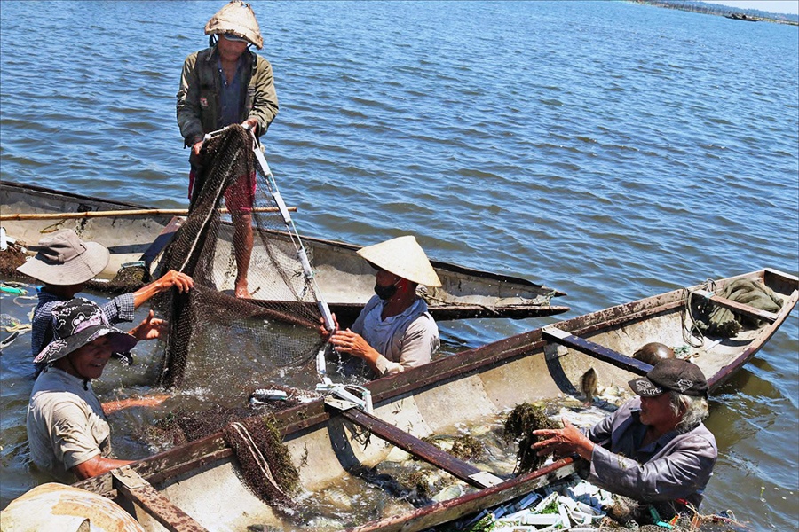 Thừa Thiên Huế: Phát triển sản phẩm thủy sản đặc thù