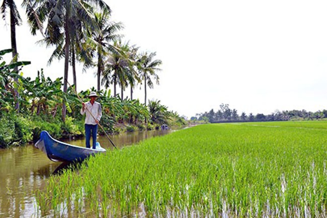 Trăn trở của nông dân nuôi tôm