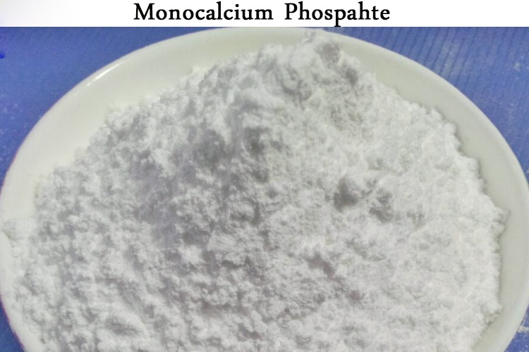 Vai trò của Monocalcium Phosphate đối với cá