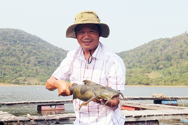 Cơ hội mới cho nuôi cá chiên thương phẩm