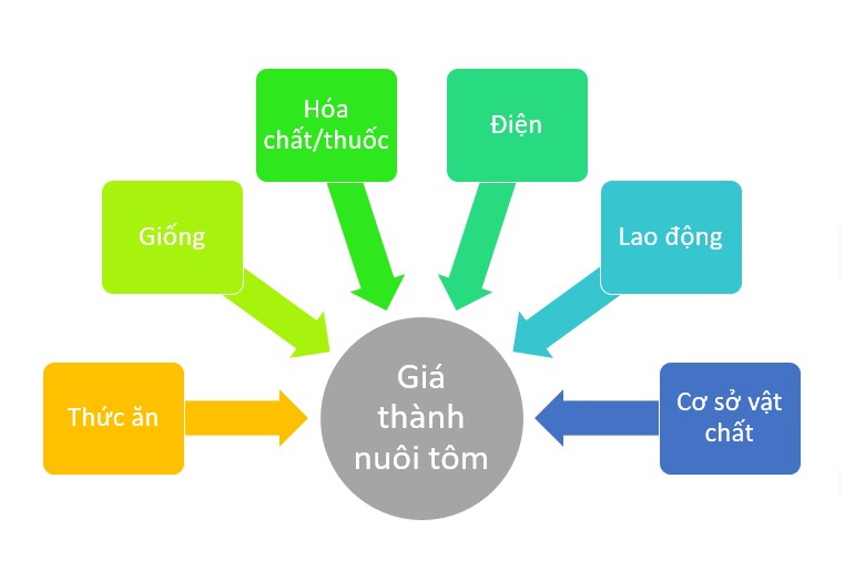 Hướng dẫn một số giải pháp nuôi tôm giảm giá thành