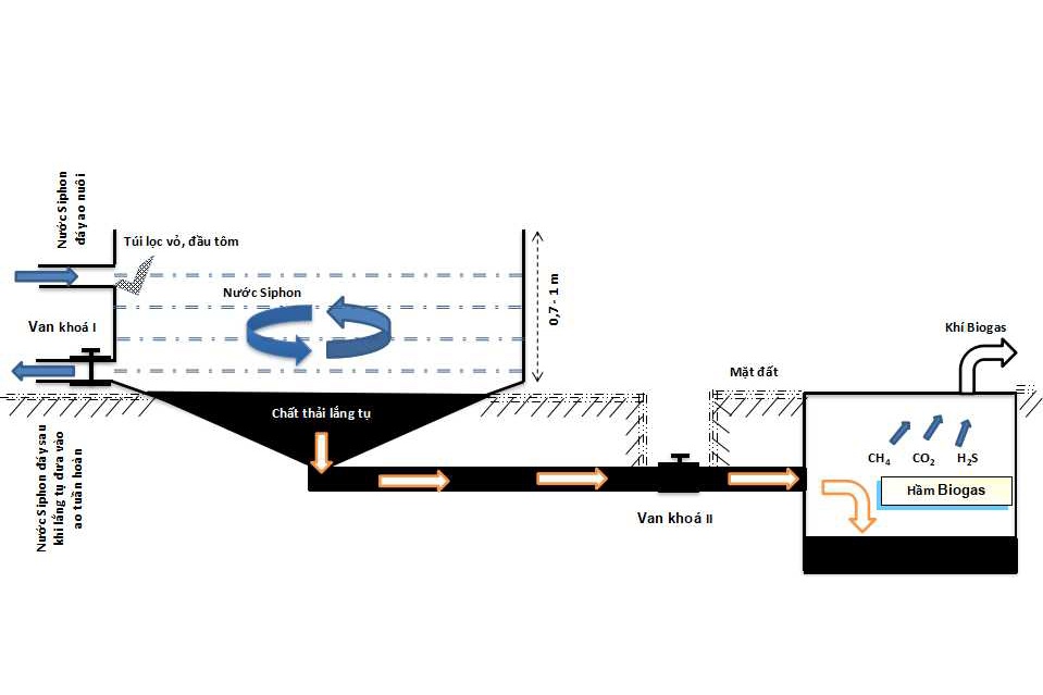 Xây dựng và vận hành hệ thống xử lý chất thải ao nuôi tôm thâm canh