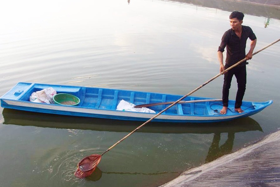 Quản lý chặt hoạt động ương cá tra giống ở Long An
