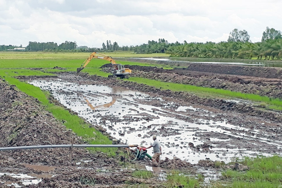 Long An: Nông dân tiếp tục đào ao nuôi cá tra giống