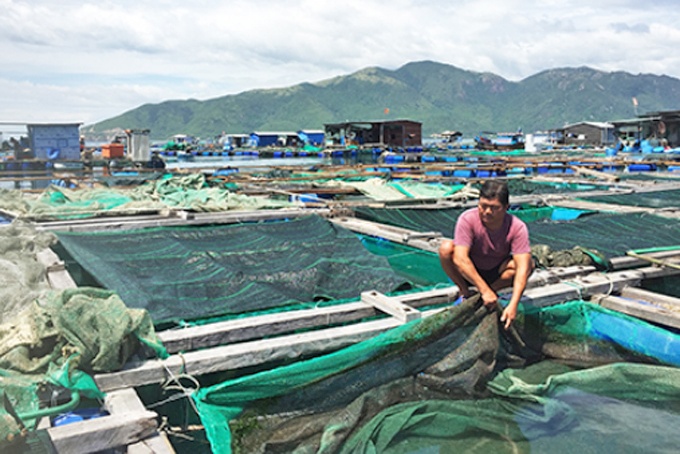 Thận trọng nuôi thủy sản mùa mưa bão