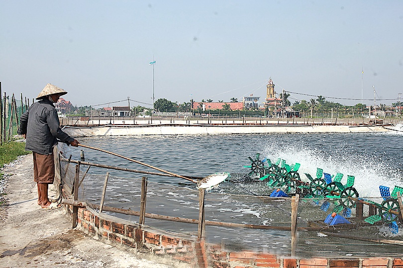 Phát triển kinh tế thủy sản ở Nghĩa Thắng