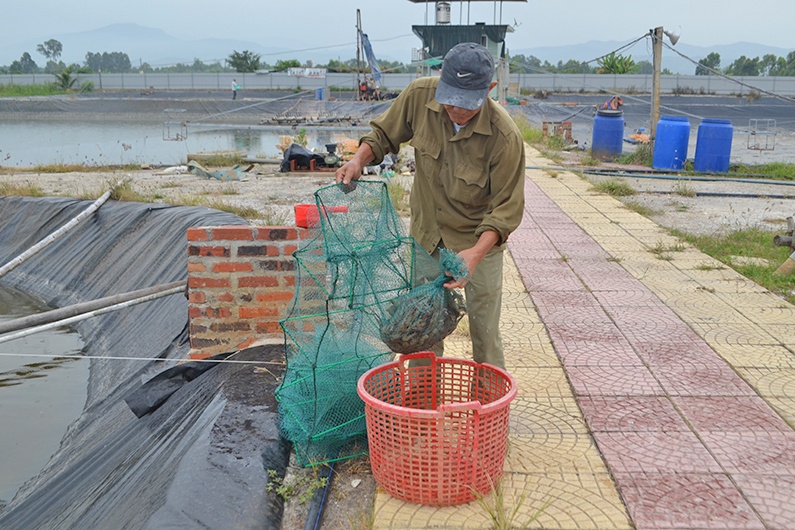 Khó khăn ở vùng nuôi trồng thủy sản ở Uông Bí