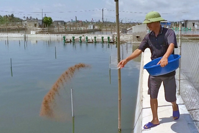 Thái Bình: Chủ động chống rét cho loài thủy sản nuôi qua mùa đông