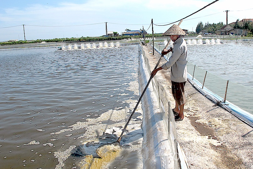 Giải pháp kỹ thuật cải tạo nguồn nước trong nuôi thủy sản