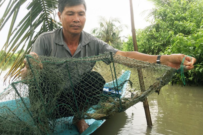 Nuôi tôm sú không kháng sinh: Lợi ích thấy rõ
