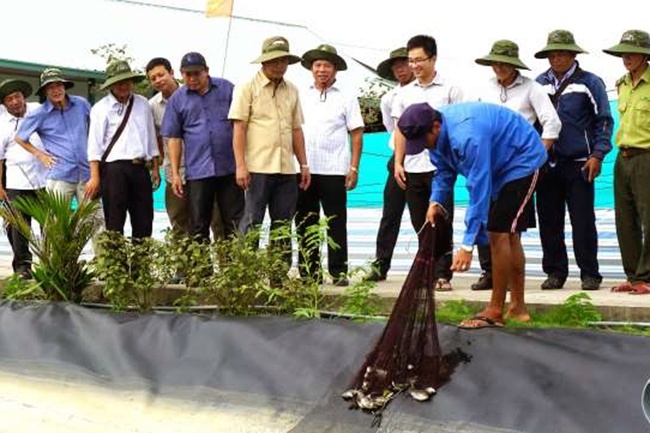 Thí điểm đối tượng mới trong nuôi tôm siêu thâm canh