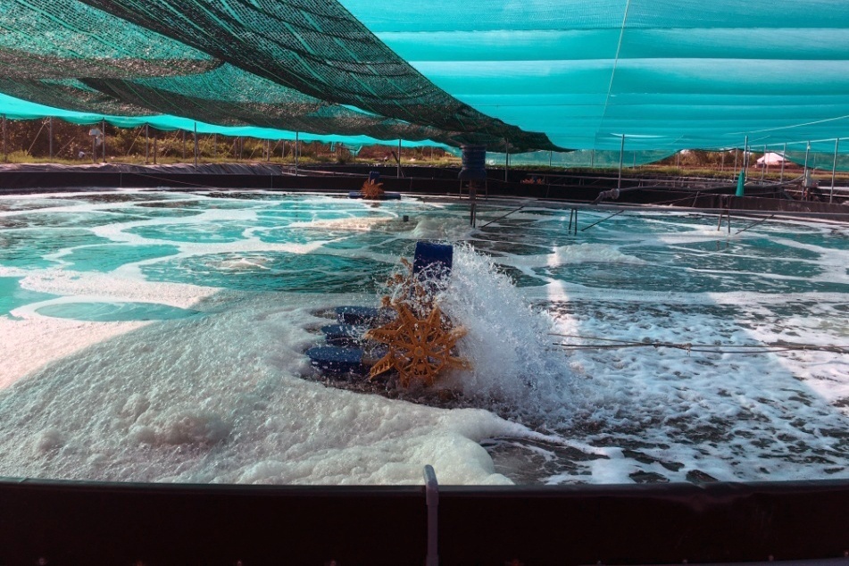 Ứng dụng Khoa học công nghệ trong nuôi thủy sản Kiên Giang