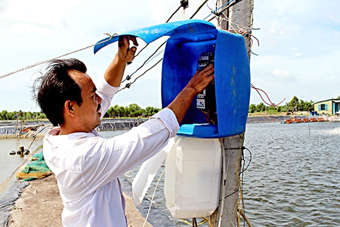 Tăng hiệu quả nhờ nuôi tôm theo phương pháp sinh học