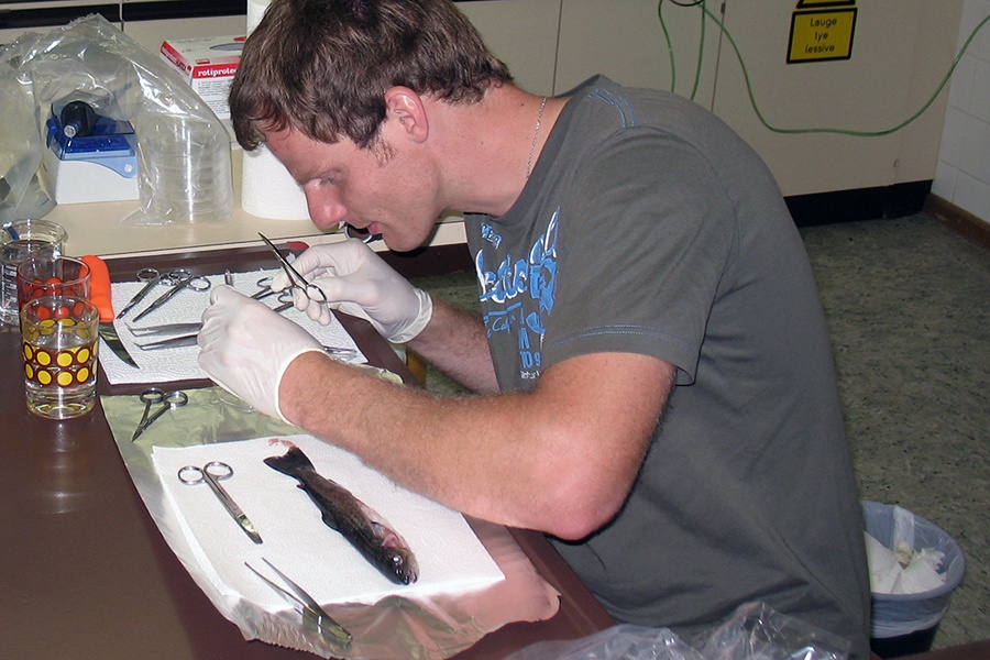 Phát hiện virus gây hội chứng sậm màu tăng sinh ở cá hồi