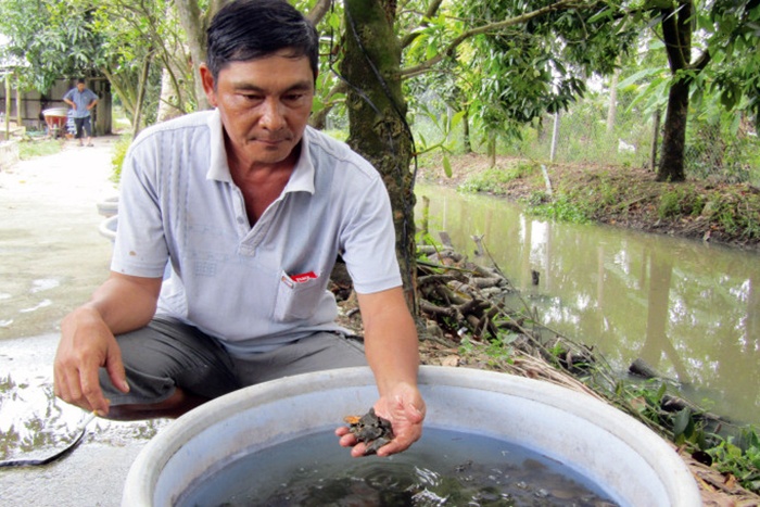 Thăm tỷ phú ba ba ở miền tây