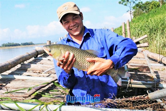 "Ra Bắc vào Nam" không bằng về quê nuôi cá