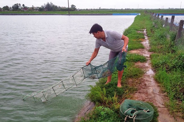 Thanh Hóa: Hướng dẫn chống rét cho vật nuôi thủy sản