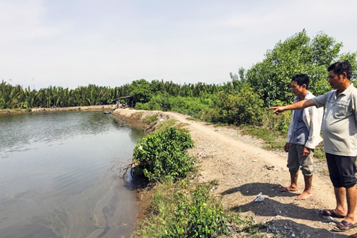 Bà Rịa - Vũng Tàu: Vùng nuôi thủy sản thiếu nước do bị chặn dòng