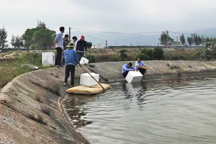 Quảng Ninh: Hiệu quả mô hình nuôi tôm sú an toàn sinh học