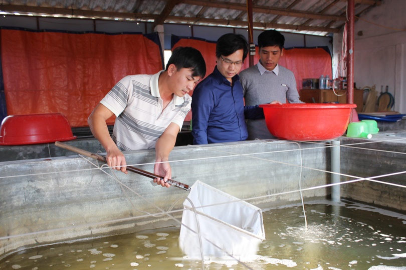 Hải Hậu chủ động con giống cho phát triển nuôi thủy sản