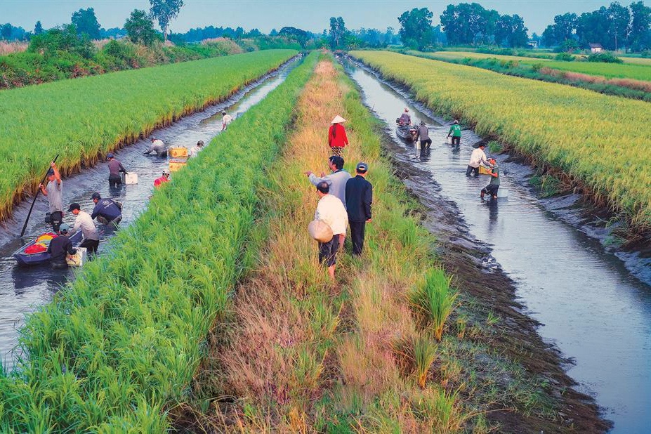 Hướng đi đúng từ liên kết vùng nuôi tôm có chứng nhận