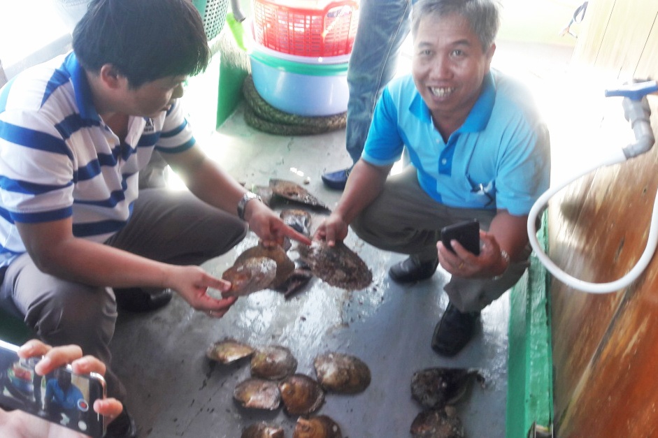 Gây nuôi, bảo vệ, tái tạo nguồn lợi trai môi vàng tại huyện phú quốc