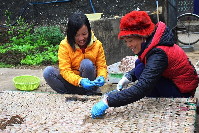 Nghệ An rộn ràng chế biến hải sản khô cho thị trường Tết
