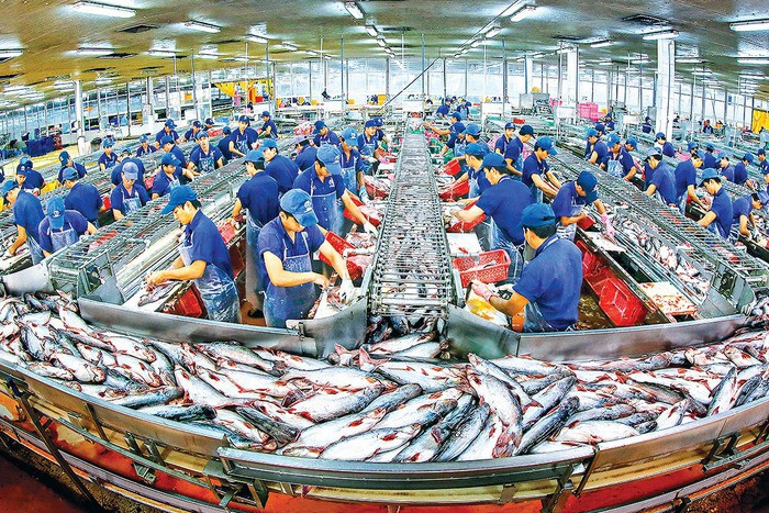 Xuất khẩu cá tra năm 2019 đặt mục tiêu 2,4 tỷ USD