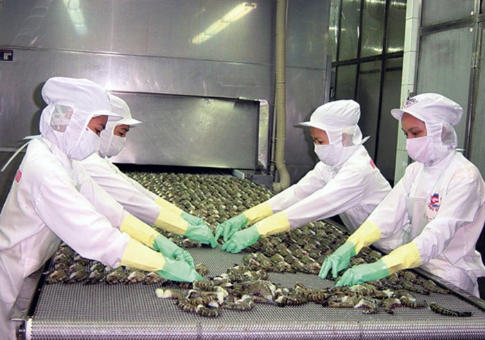 Chiến lược lâu dài phát triển ngành tôm: Nội tại chưa cân bằng