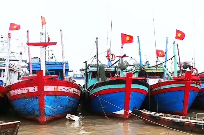 Quy định mới về chính sách phát triển thủy sản