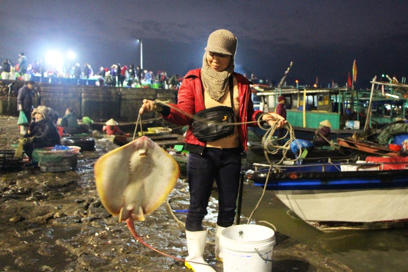 Chợ cá Hòn Gai những ngày giáp Tết