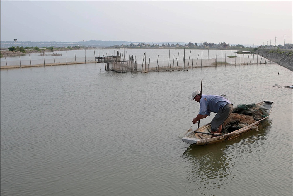 Thừa Thiên Huế: Giá rét gây bất lợi cho thủy sản nuôi