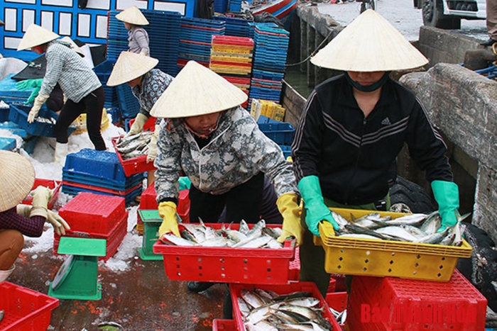 Thanh Hóa: Phấn đấu sản lượng thủy sản 2019 đạt 180.000 tấn