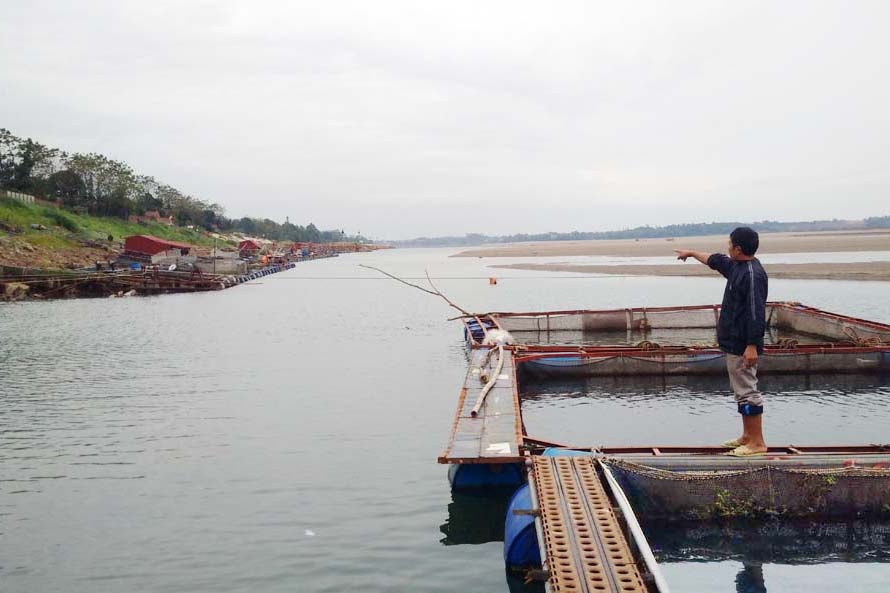 Người nuôi cá lồng lao đao vì nước sông Đà cạn kiệt