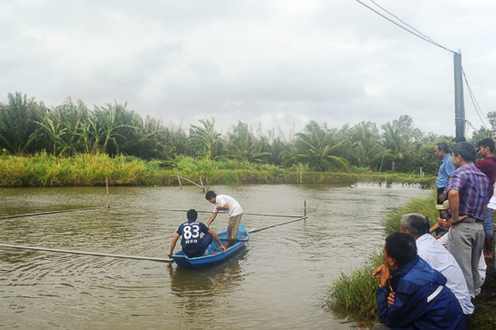 Xây dựng mô hình nuôi cá bông lau trong ao đất