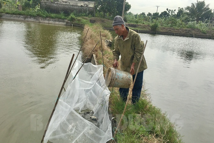 Vùng nuôi thủy sản An Đức “hụt hơi"