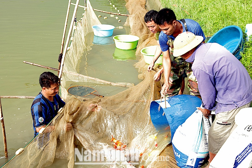 Ngày Xuân trò chuyện với những "nông dân trí thức"