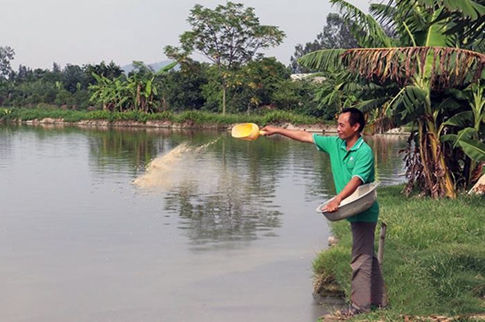 Thanh Hóa: Chú trọng quản lý hoạt động kinh doanh thức ăn thủy sản