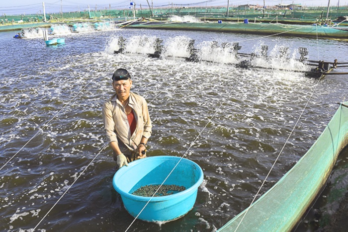 Nuôi trồng thủy sản hướng đến mục tiêu bền vững
