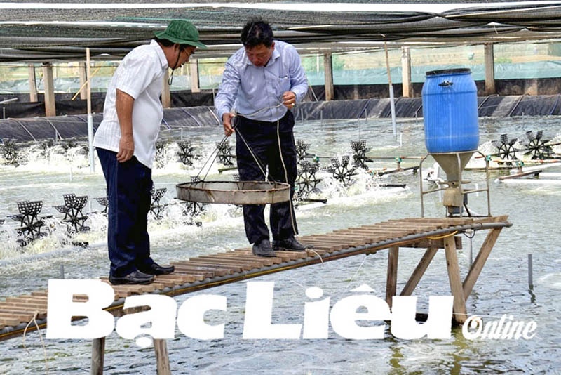 Thành tựu nổi bật của ngành thủy sản Bạc Liêu năm 2018