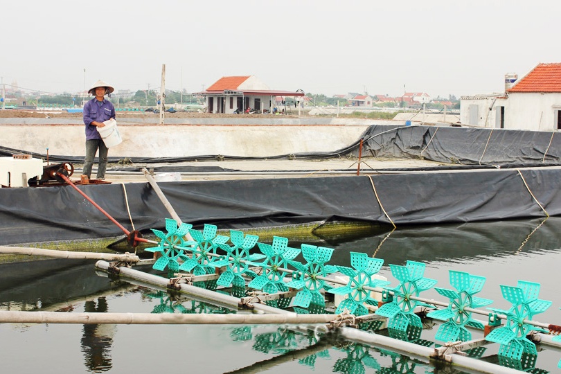 Hiệu quả phát triển kinh tế thủy sản ở Hải Triều