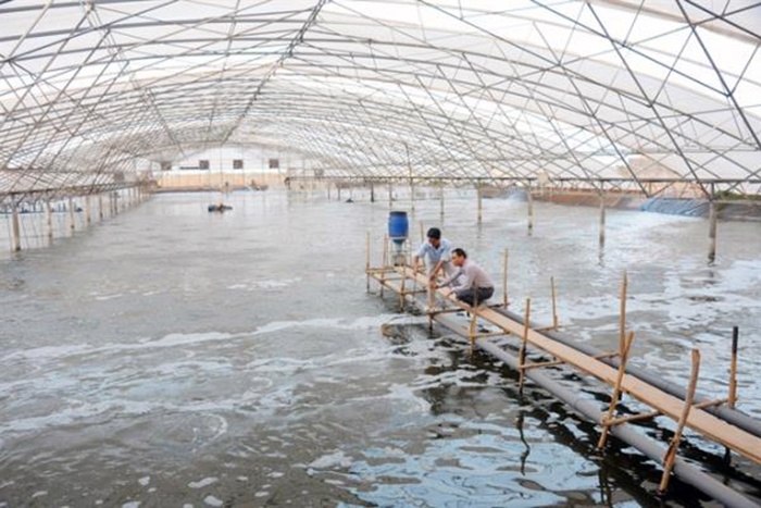 Năm 2019 Bạc Liêu sẽ tập trung cho tăng trưởng xanh