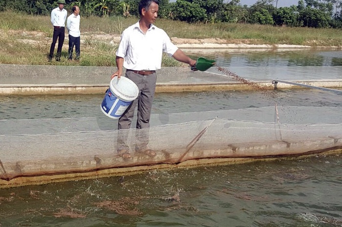 Hà Nam phát triển nuôi cá theo công nghệ “sông trong ao”