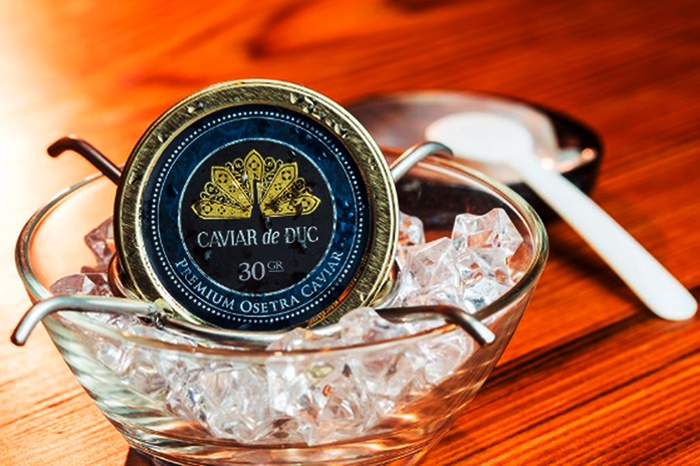 Khát vọng cá tầm Việt Nam vươn ra thế giới