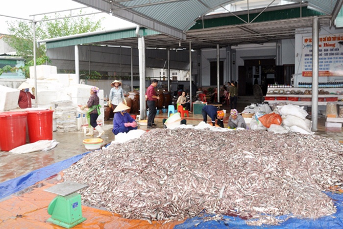 chế biến thủy hải sản Hà Tĩnh vào vụ