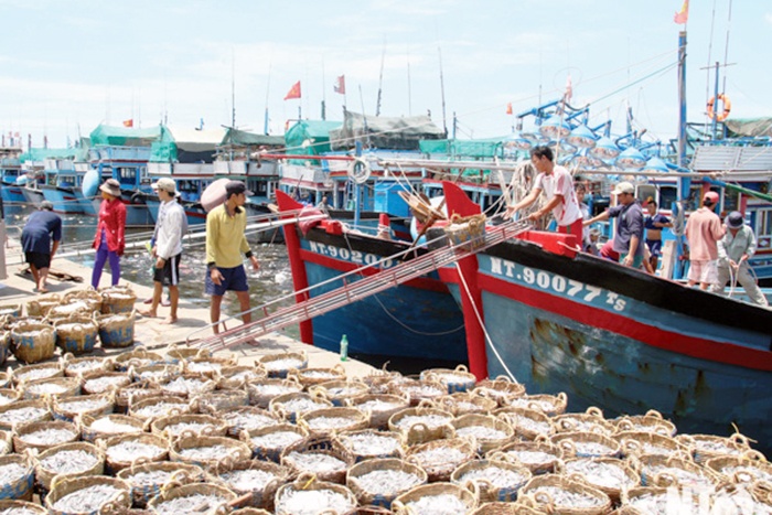 Cần cơ chế mới cho hoạt động đoàn kết khai thác thủy sản