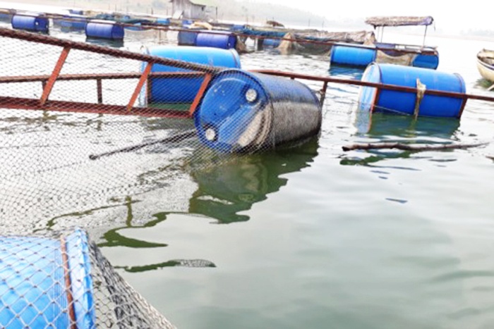 Hỗ trợ người nuôi cá Hồ Thác Bà bị thiệt hại nặng do mưa lốc