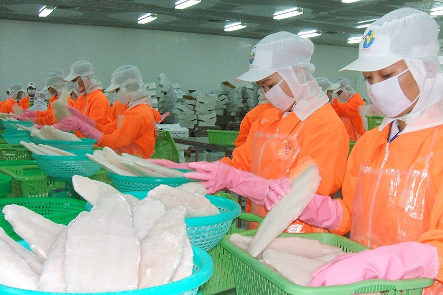 Thêm cơ hội lớn cho cá tra Việt Nam xuất khẩu vào Mỹ